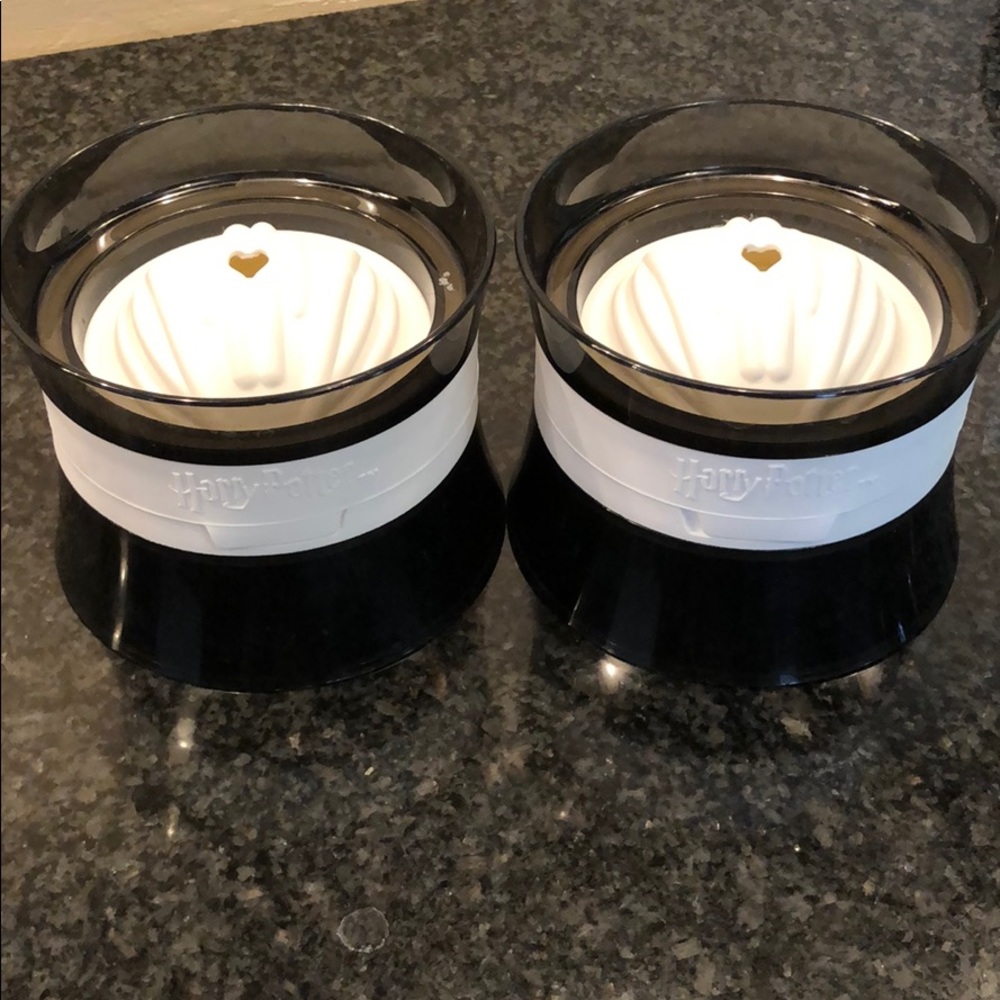 Williams Sonoma Harry Potter ice molds
